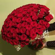 Цветы в Алматы: Букет 101 красная роза 50 см